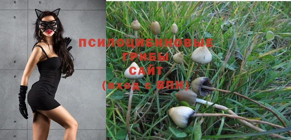 спиды Армянск