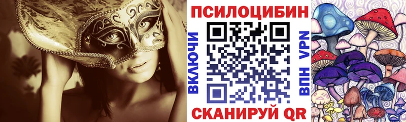 Псилоцибиновые грибы MAGIC MUSHROOMS  купить наркоту  Среднеколымск 